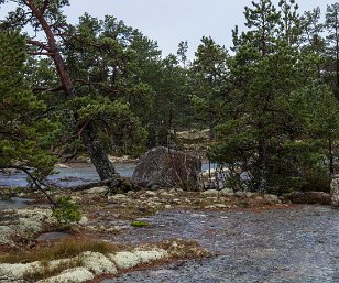 Baltikum Eine Geocaching-Tour durch sieben Länder